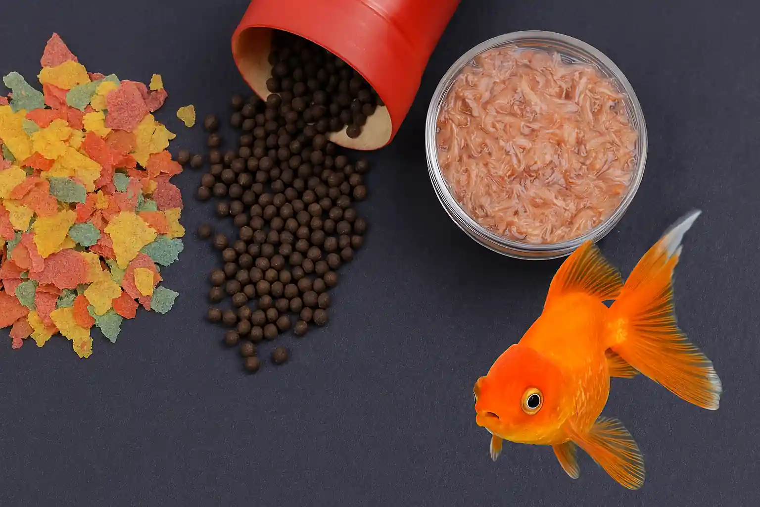 Colorful assortment of aquarium fish food including flakes, pellets, brine shrimp, and goldfish feed on a dark textured surface